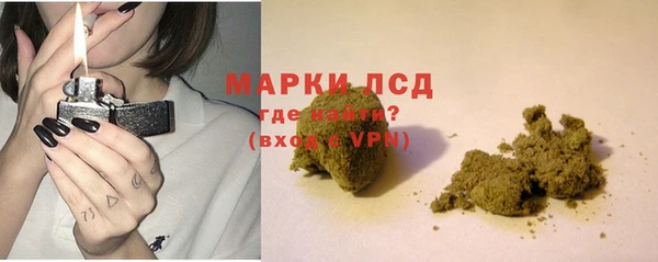 индика Карпинск