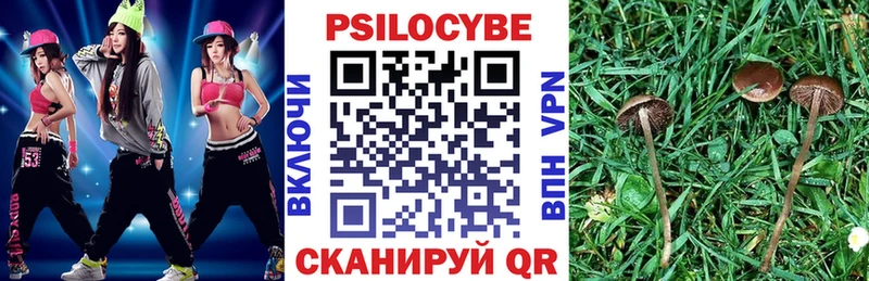 Псилоцибиновые грибы MAGIC MUSHROOMS  Купить закладки  Рошаль 